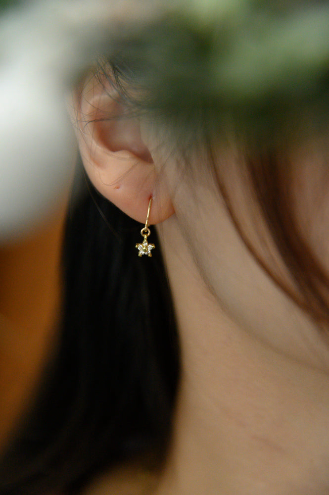 18k Gold Plated - Shay Starry Earrings