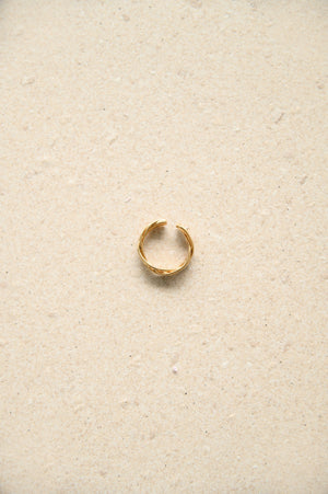 (Some Fine Love) Noa Ring