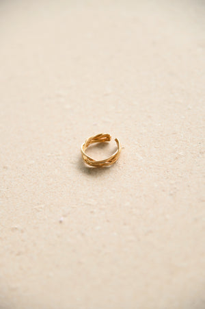 (Some Fine Love) Noa Ring