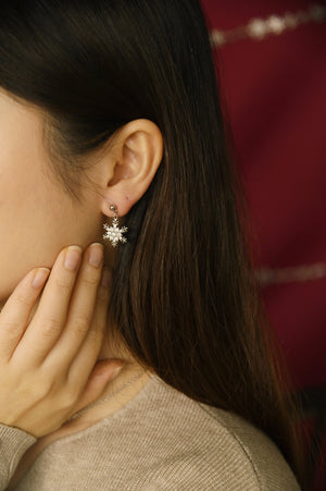 
            
                Load image into Gallery viewer, Winter Earrings
            
        