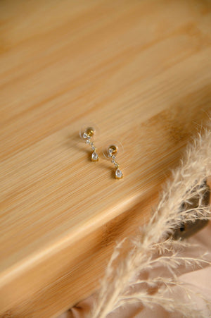 
            
                Load image into Gallery viewer, Honey Earrings (S925)
            
        